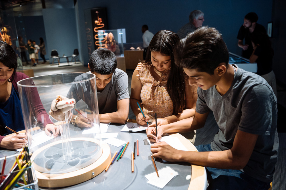 Museum Terbaik yang Berdiri Kokoh di Santa Clara